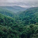 Kigali to host 6th World Congress on Agroforestry