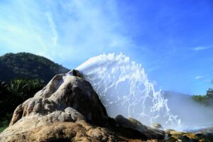 A Journey Through Semuliki: Where Mist Meets Mystery
