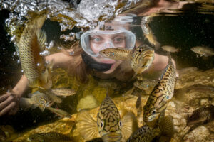 New report reveals one in four freshwater fish species in Africa threatened with extinction