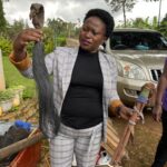 Karamojong Cultural Artefacts from Kenya Repatriated to Uganda