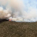 Kenya’s Water Tower Burns: Inside the Mt Kenya Forest Fire and Its Toll
